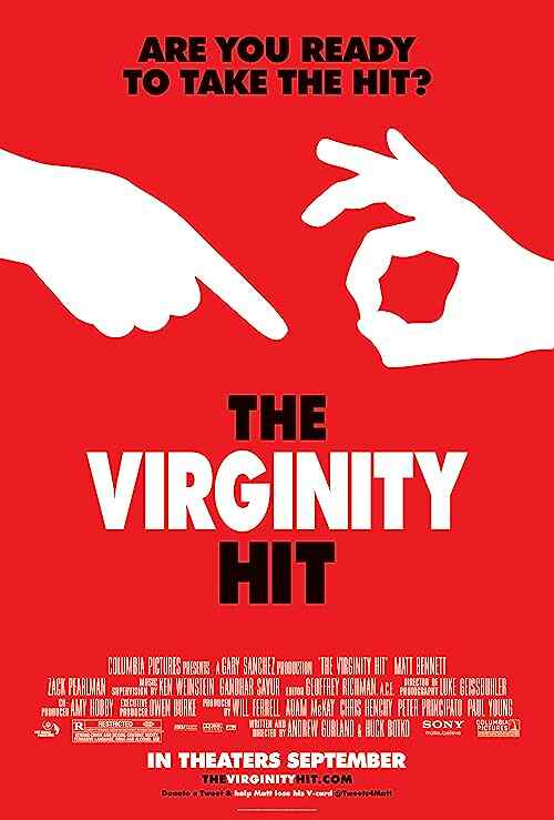 The Virginity Hit poster