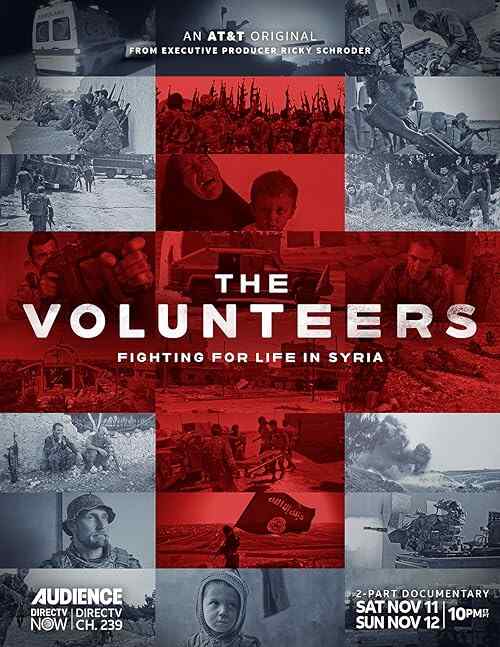 The Volunteers poster