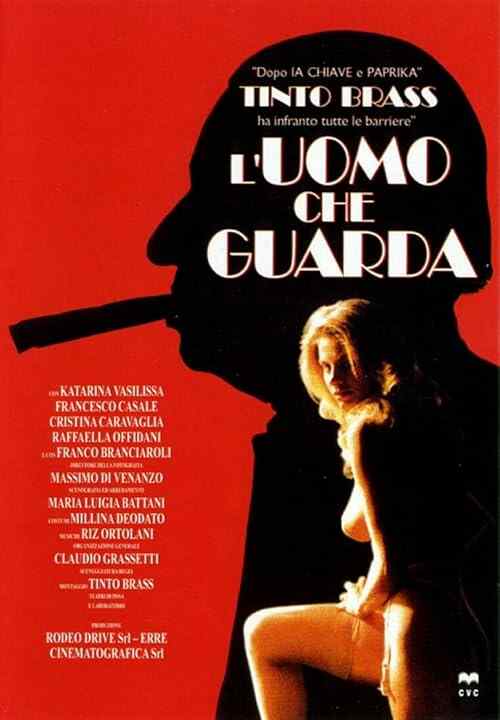 The Voyeur poster