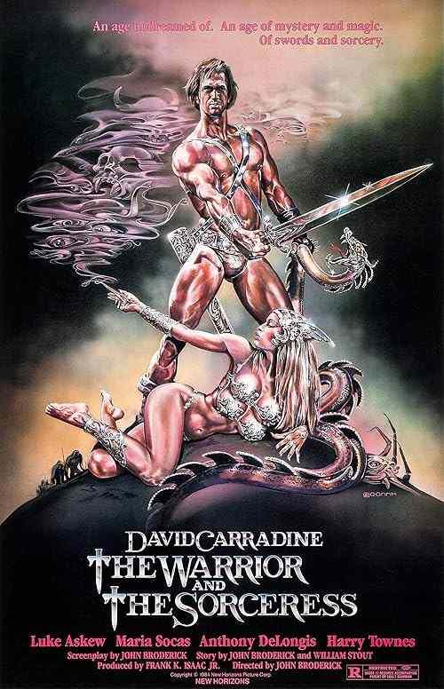 The Warrior and the Sorceress poster