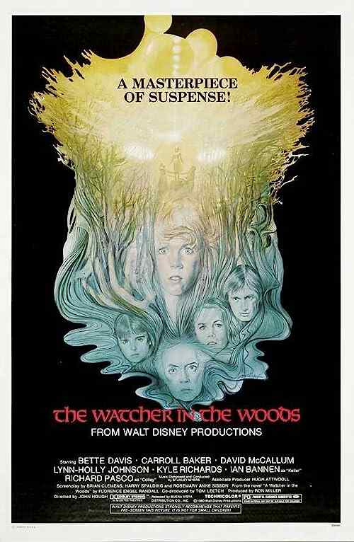 The Watcher in the Woods poster