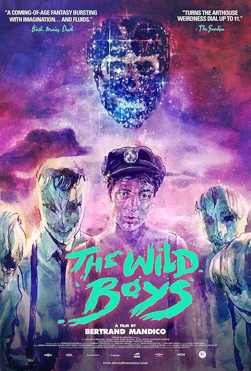The Wild Boys poster