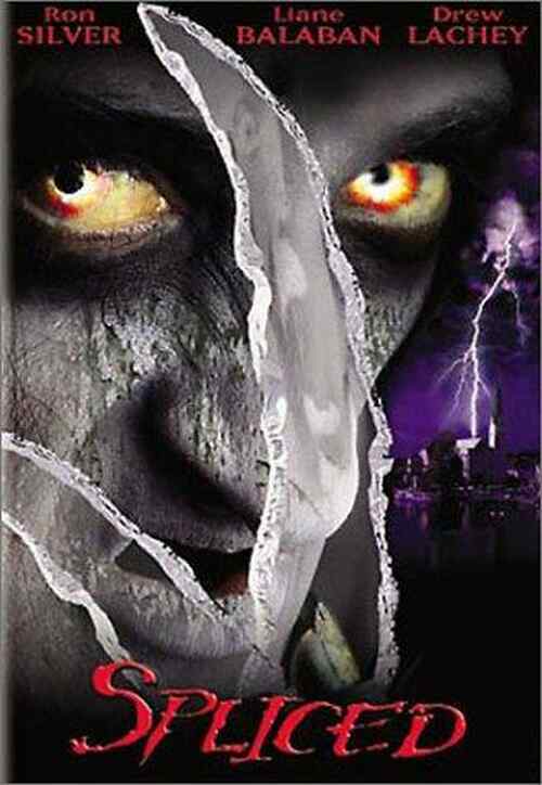 The Wisher poster