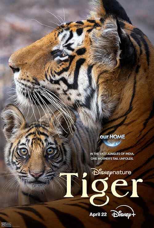 Tiger poster