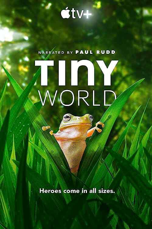 Tiny World poster