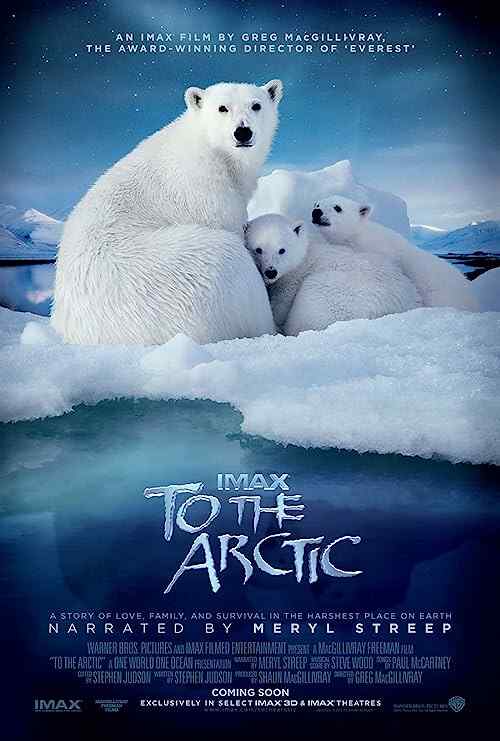 To the Arctic poster