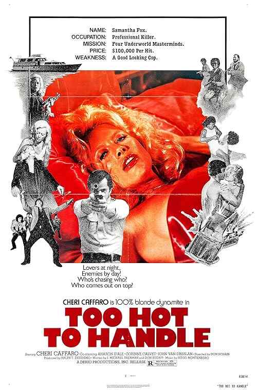 Too Hot to Handle poster