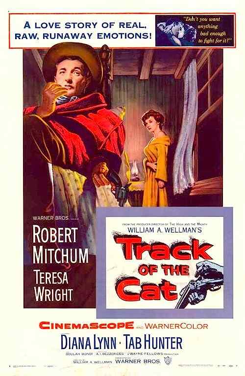 Track of the Cat poster