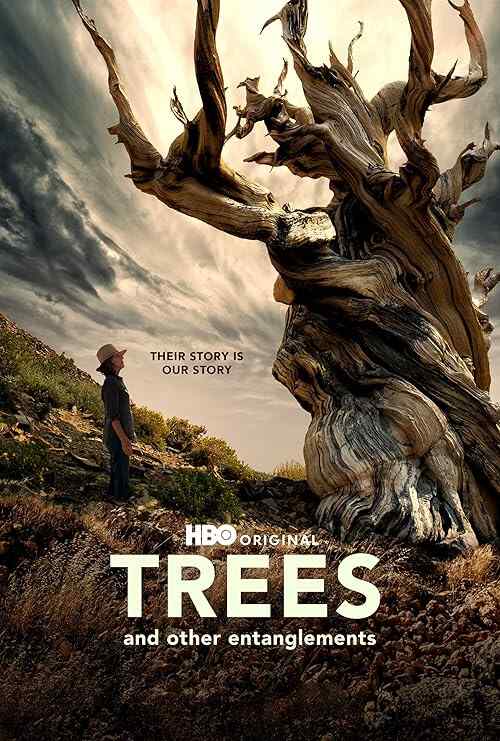 Trees and Other Entanglements poster