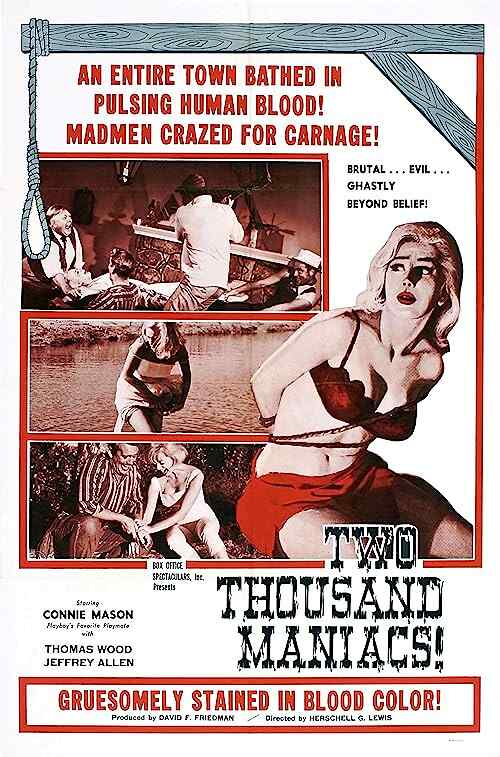 Two Thousand Maniacs! poster