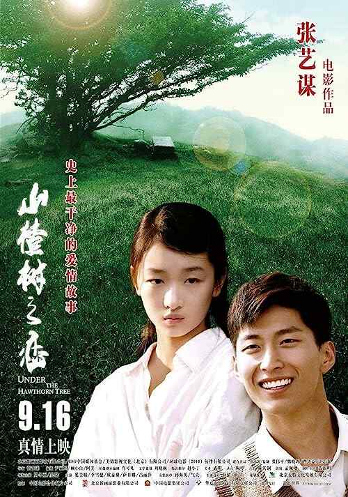 Under the Hawthorn Tree poster
