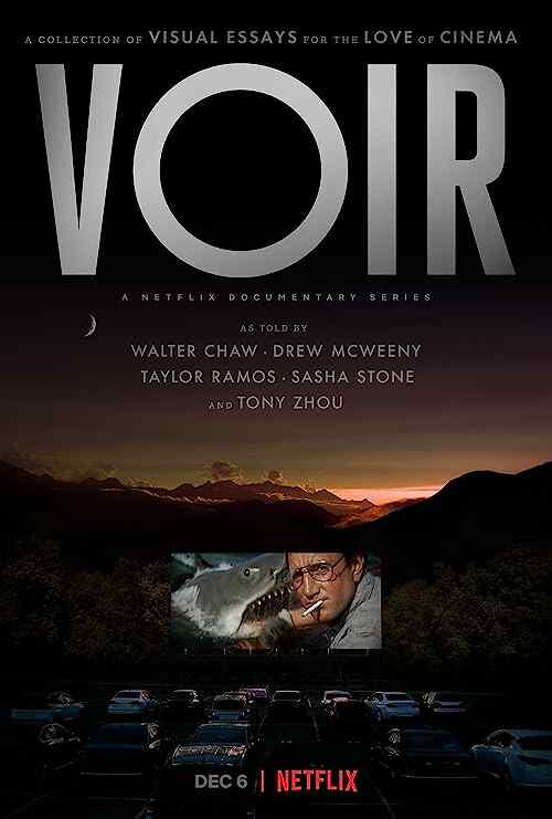 VOIR poster