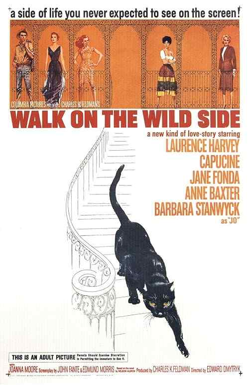 Walk on the Wild Side poster