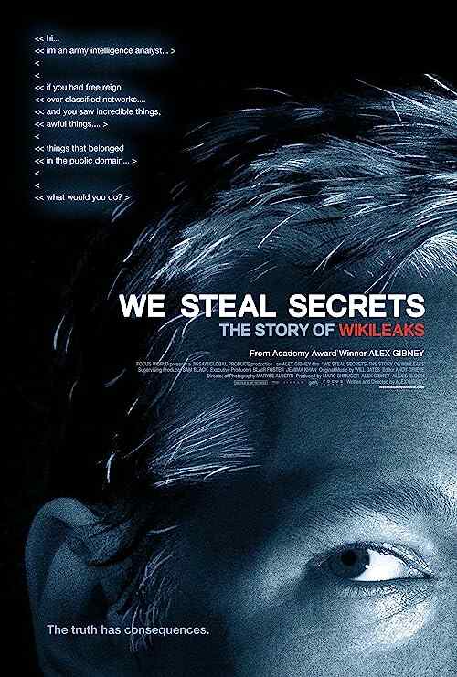 We Steal Secrets poster