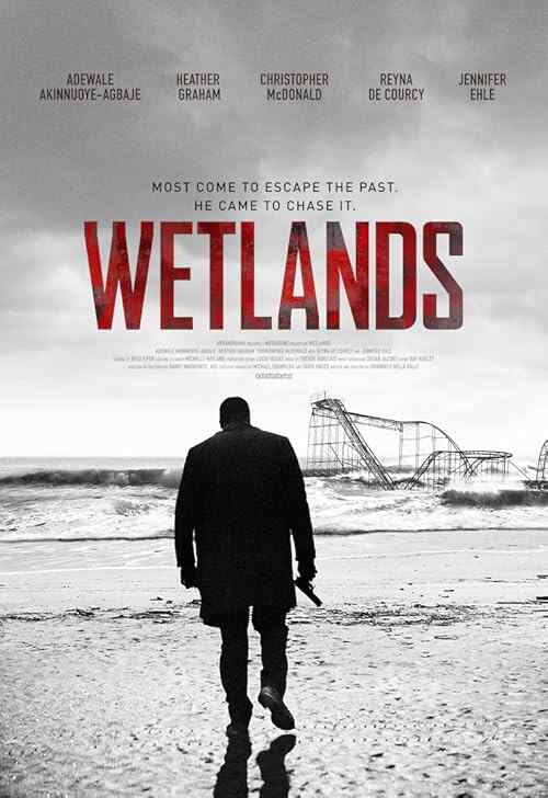 Wetlands poster