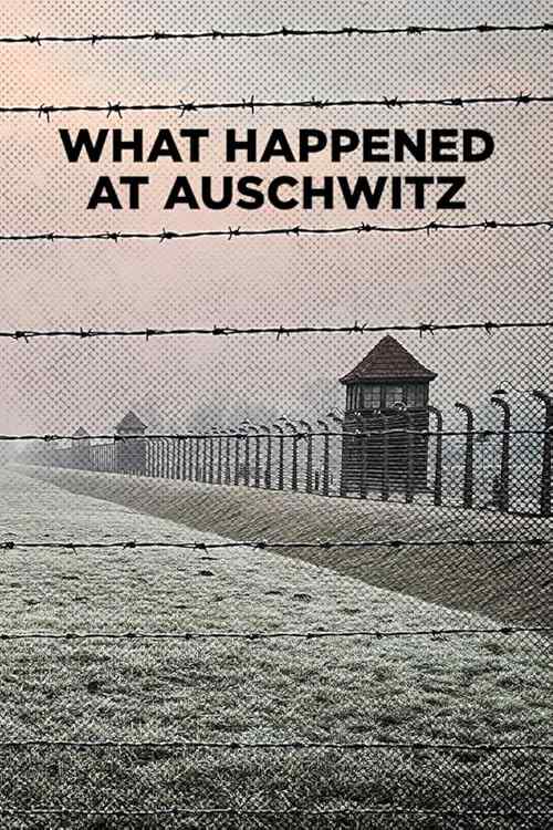 What Happened at Auschwitz poster