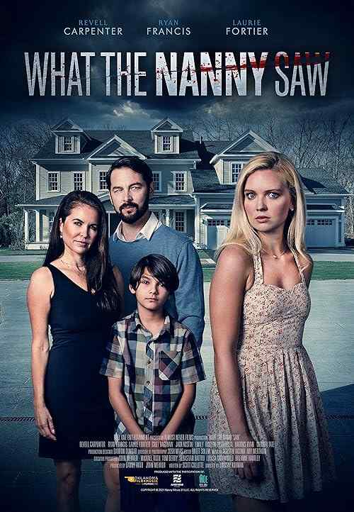 What The Nanny Saw poster