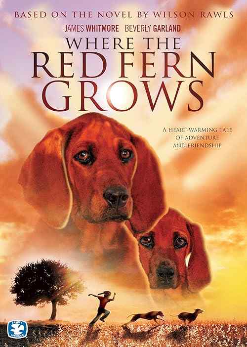 Where the Red Fern Grows poster