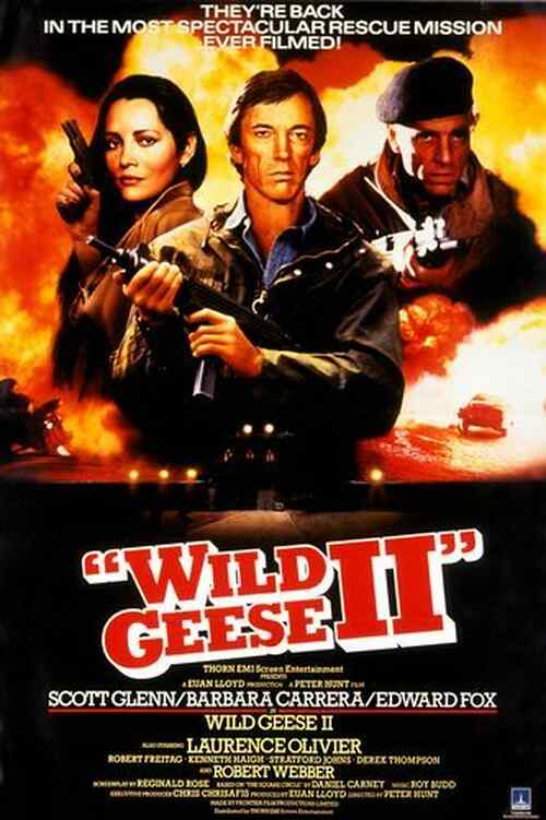 Wild Geese II poster