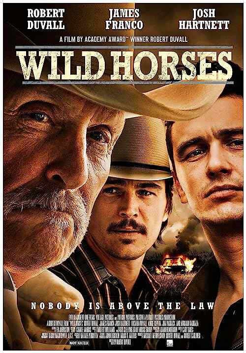Wild Horses poster