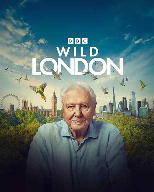 Wild London poster
