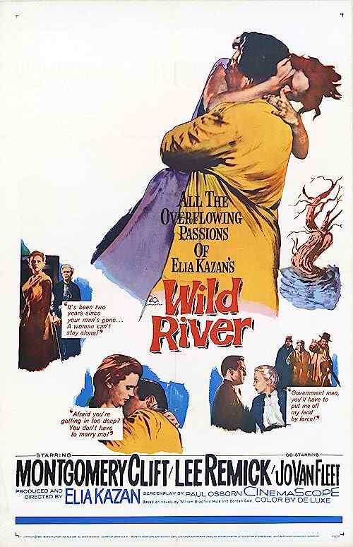 Wild River poster