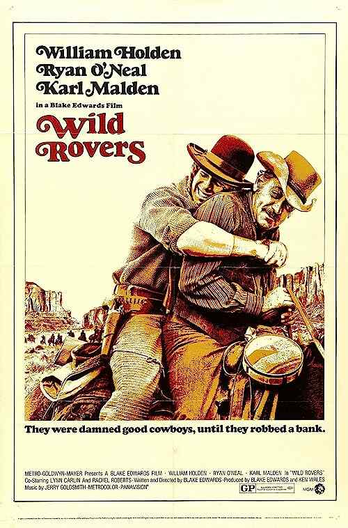 Wild Rovers poster