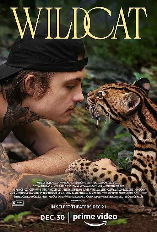 Wildcat poster