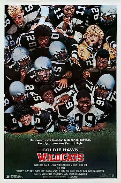Wildcats poster